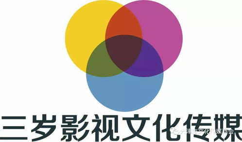 三岁影视文化传媒 天津 有限责任公司